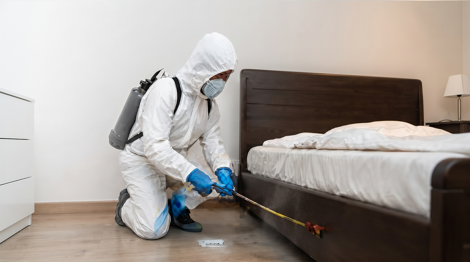 Bedbugs Control