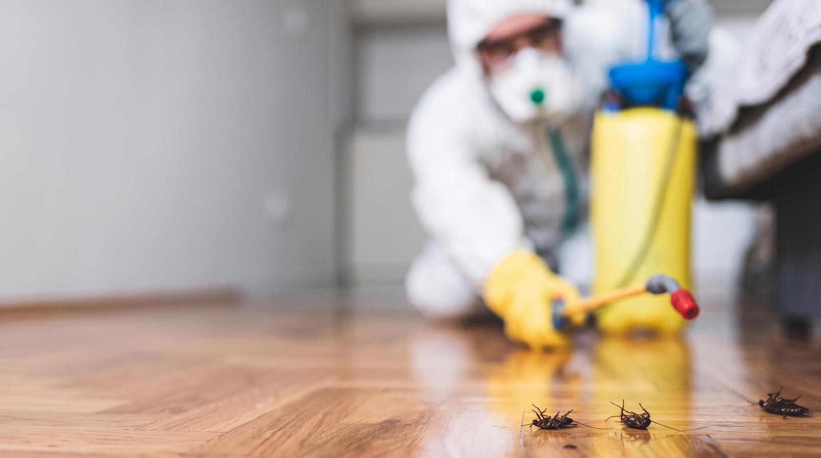 Cockroach Control