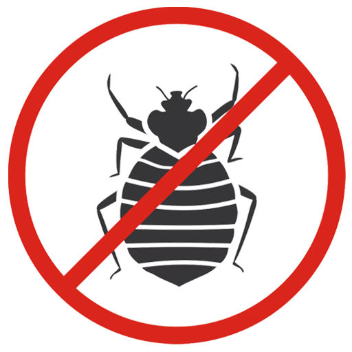 Bedbugs Control