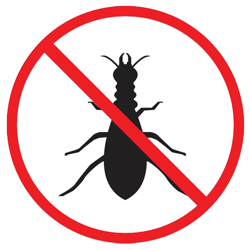 Termite Treatment